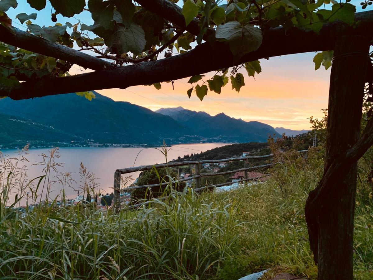 Agriturismo Treterre Pianello Del Lario 外观 照片